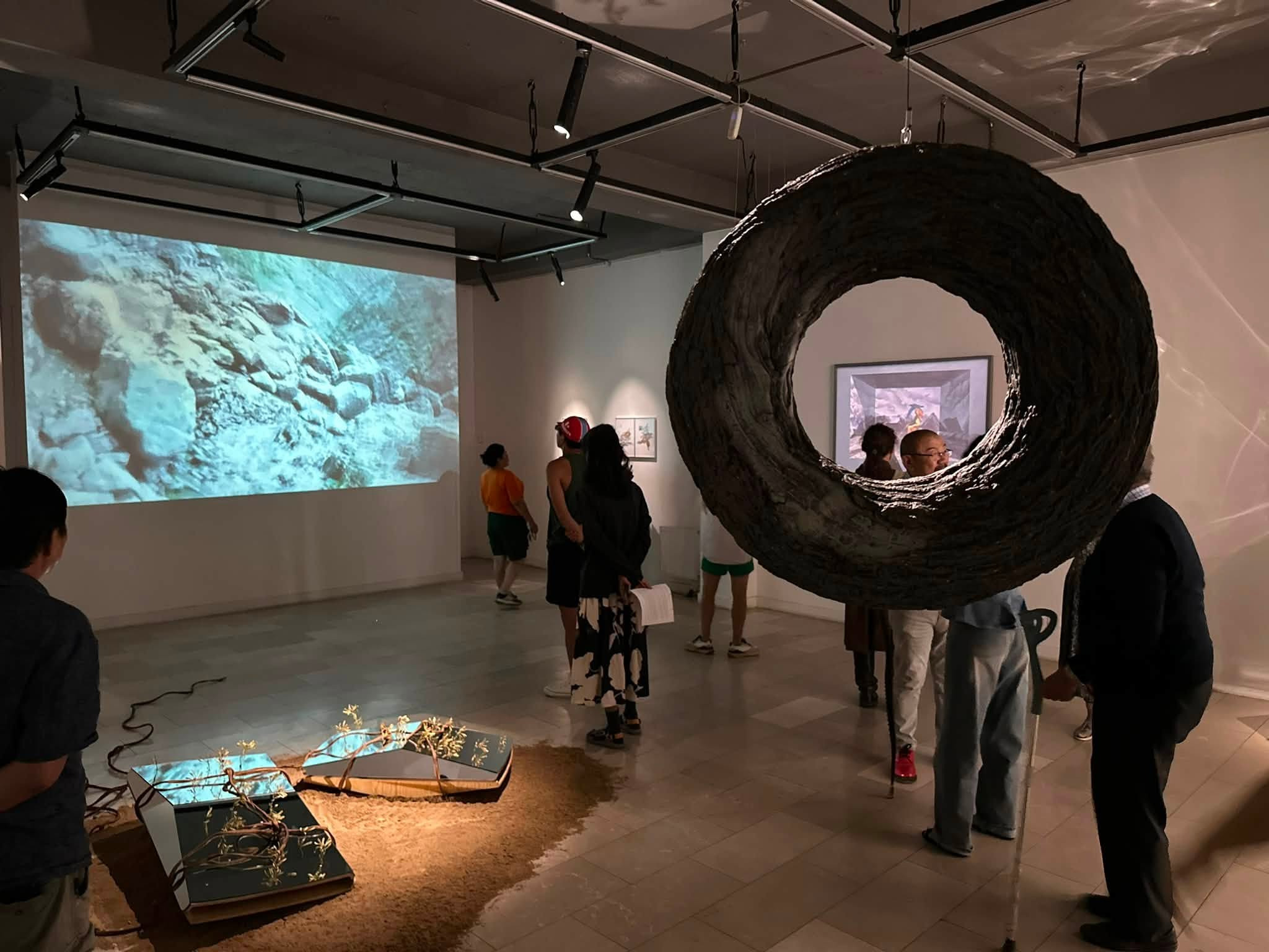 ‘The Last Dream’ explores climate change through creativity